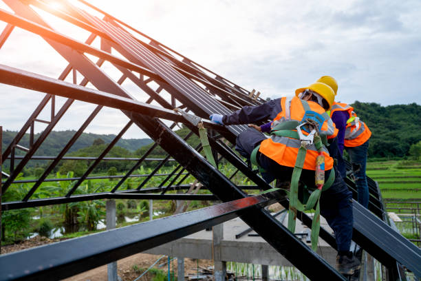 Roof Gutter Cleaning in Mount Pleasant, IA