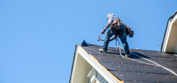 Best Roof Gutter Cleaning  in Mount Pleasant, IA